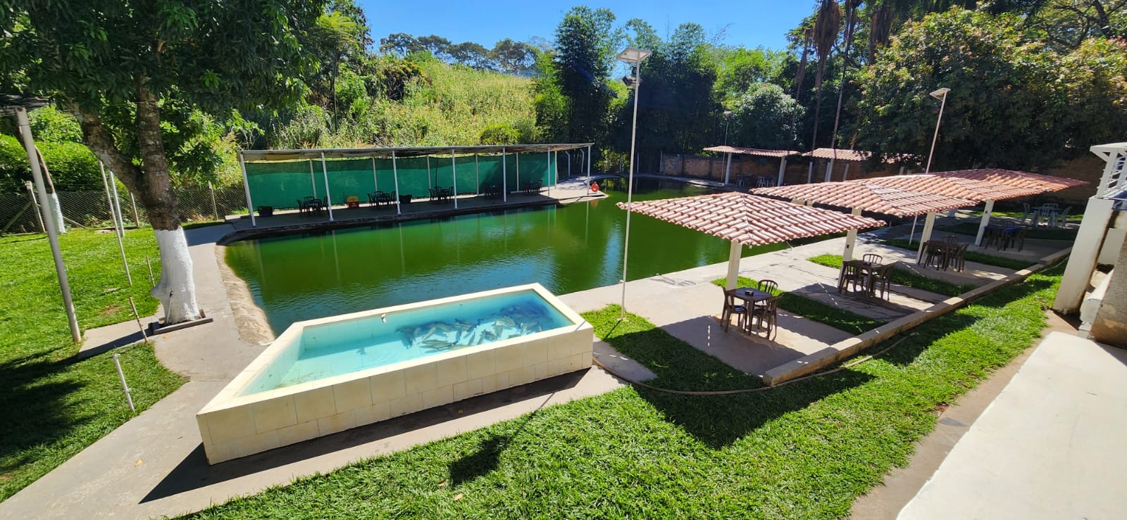 Pesca esportiva e recreativa